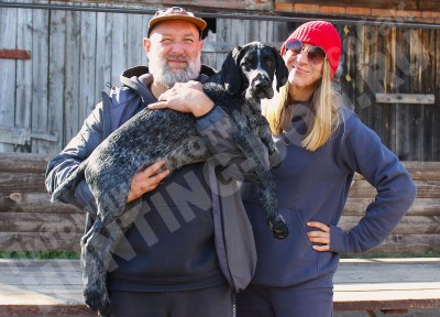 Новые владельцы